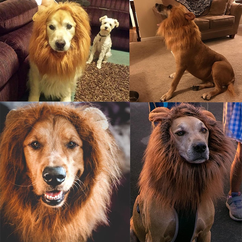 Lion Wig Costume For Dogs