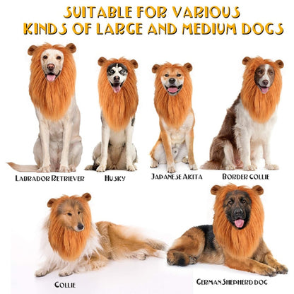 Lion Wig Costume For Dogs