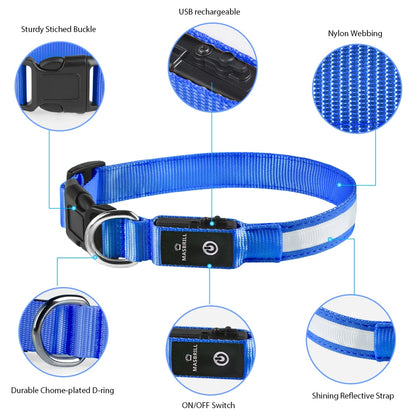 High Visibility Dog Night Safety Collar