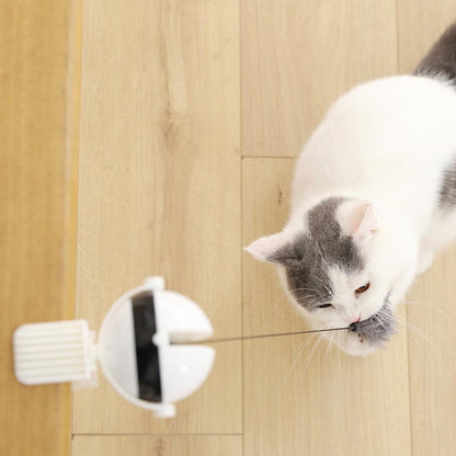 Electronic Motion Cat Teaser Toy