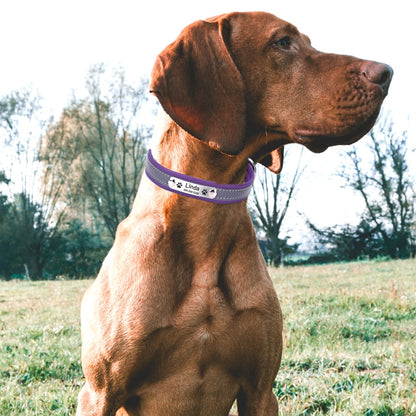 Personalized Leather Reflective Collar