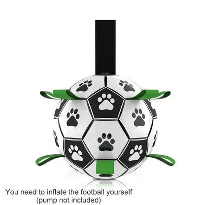 Specially Designed Dog Football