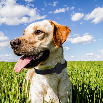 Pet Position Tracking Collar