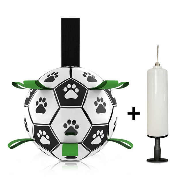 Specially Designed Dog Football