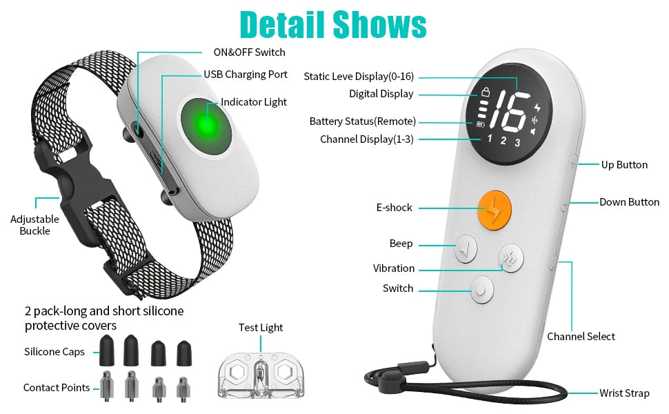 Rechargeable Training Collar