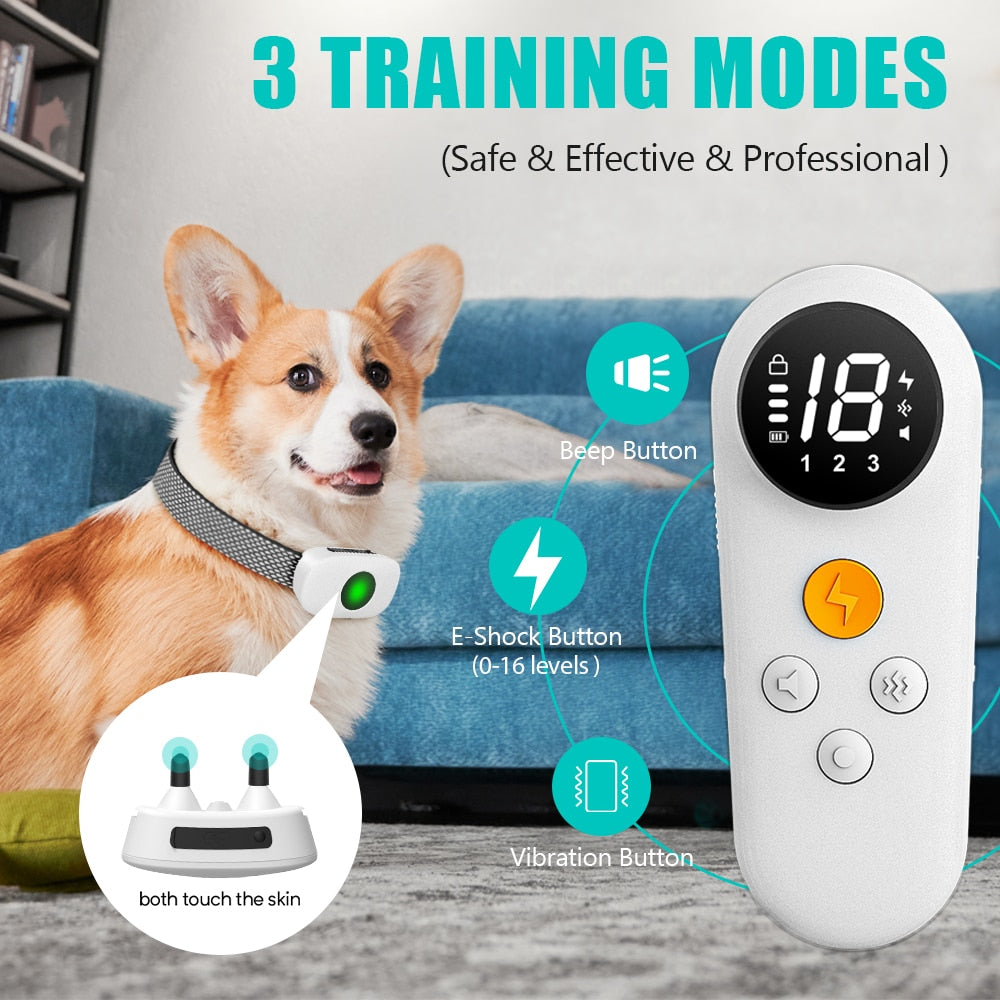 Rechargeable Training Collar