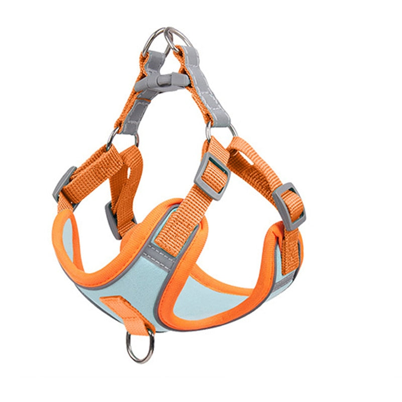 Reflective Dog Harness and Leash