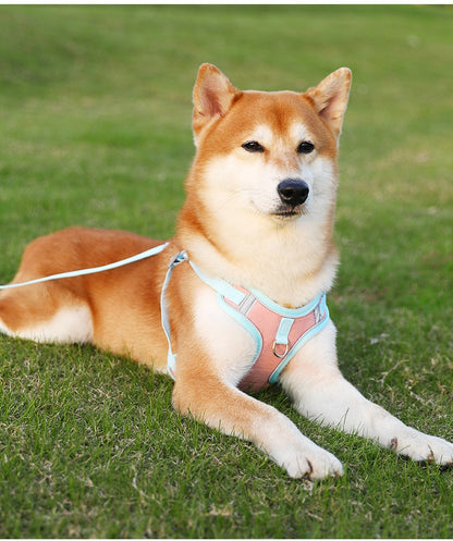 Reflective Dog Harness and Leash