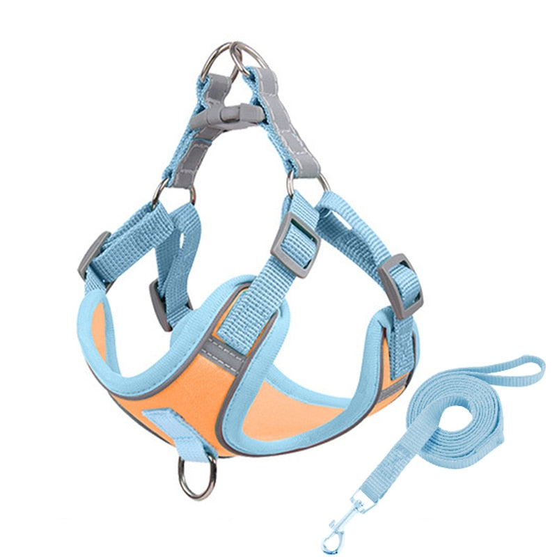 Reflective Dog Harness and Leash