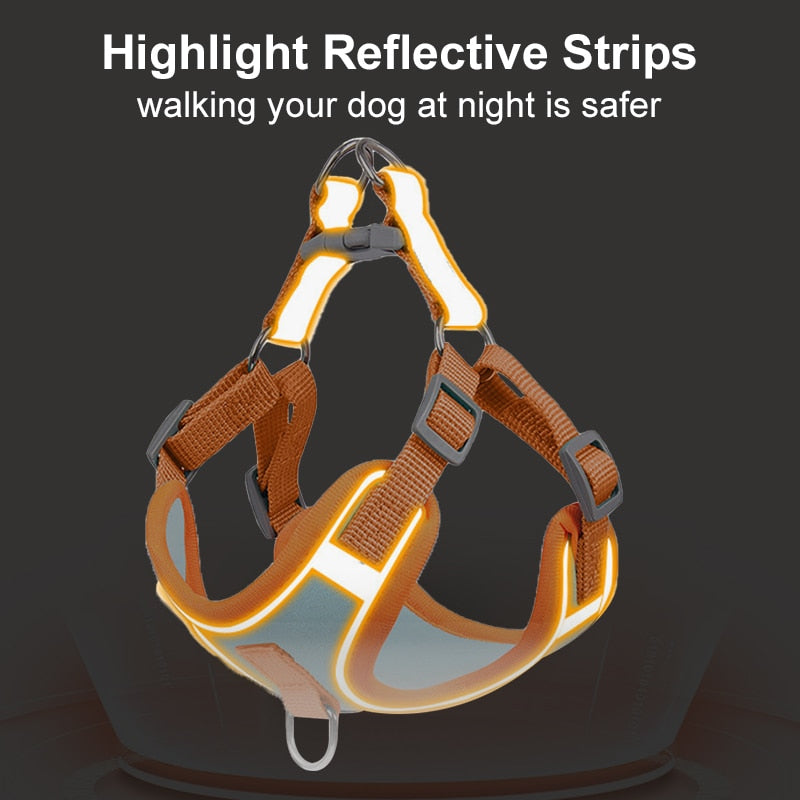 Reflective Dog Harness and Leash