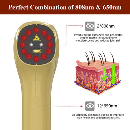 Pet Laser Therapy Device for Pain Relief