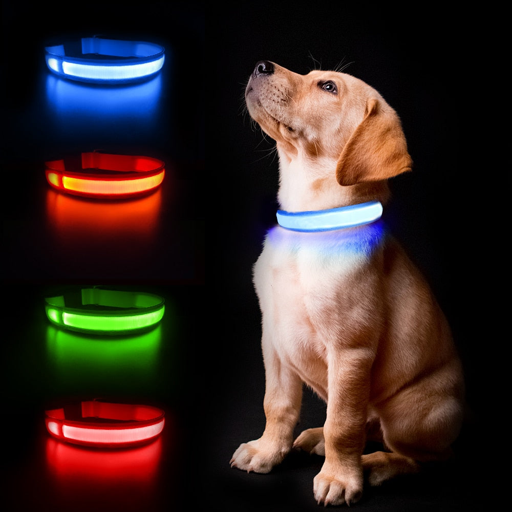 High Visibility Dog Night Safety Collar