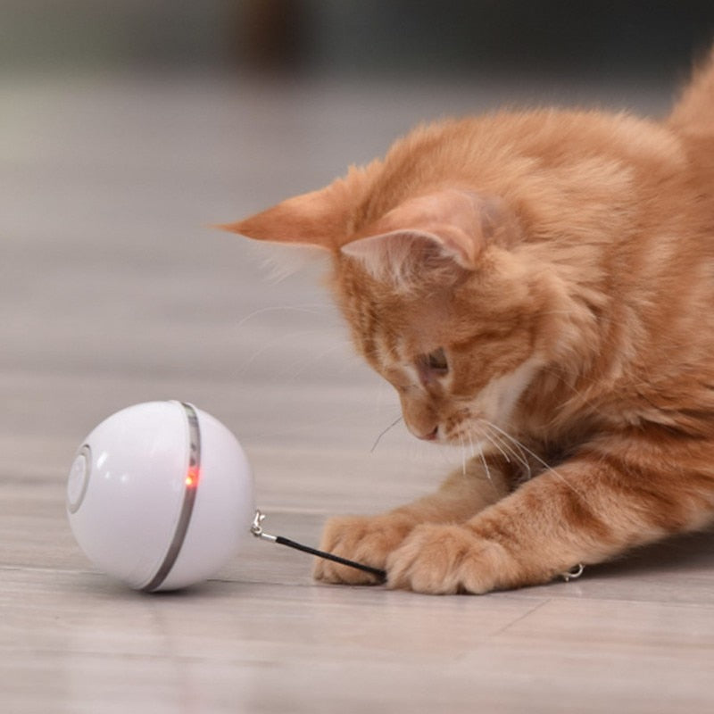 Colorful LED Self Rotating Ball