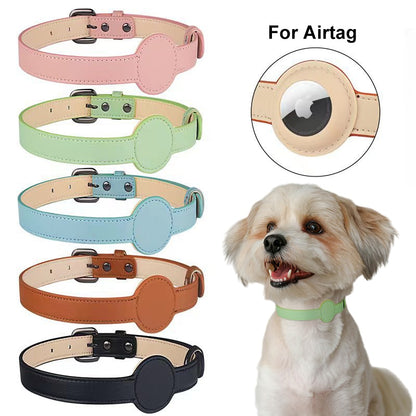 Pet Position Tracking Collar