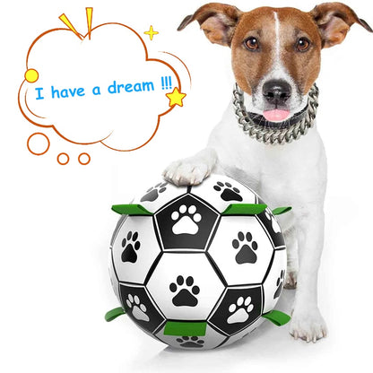 Specially Designed Dog Football